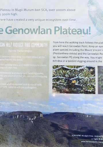  - Genowlan Plateau